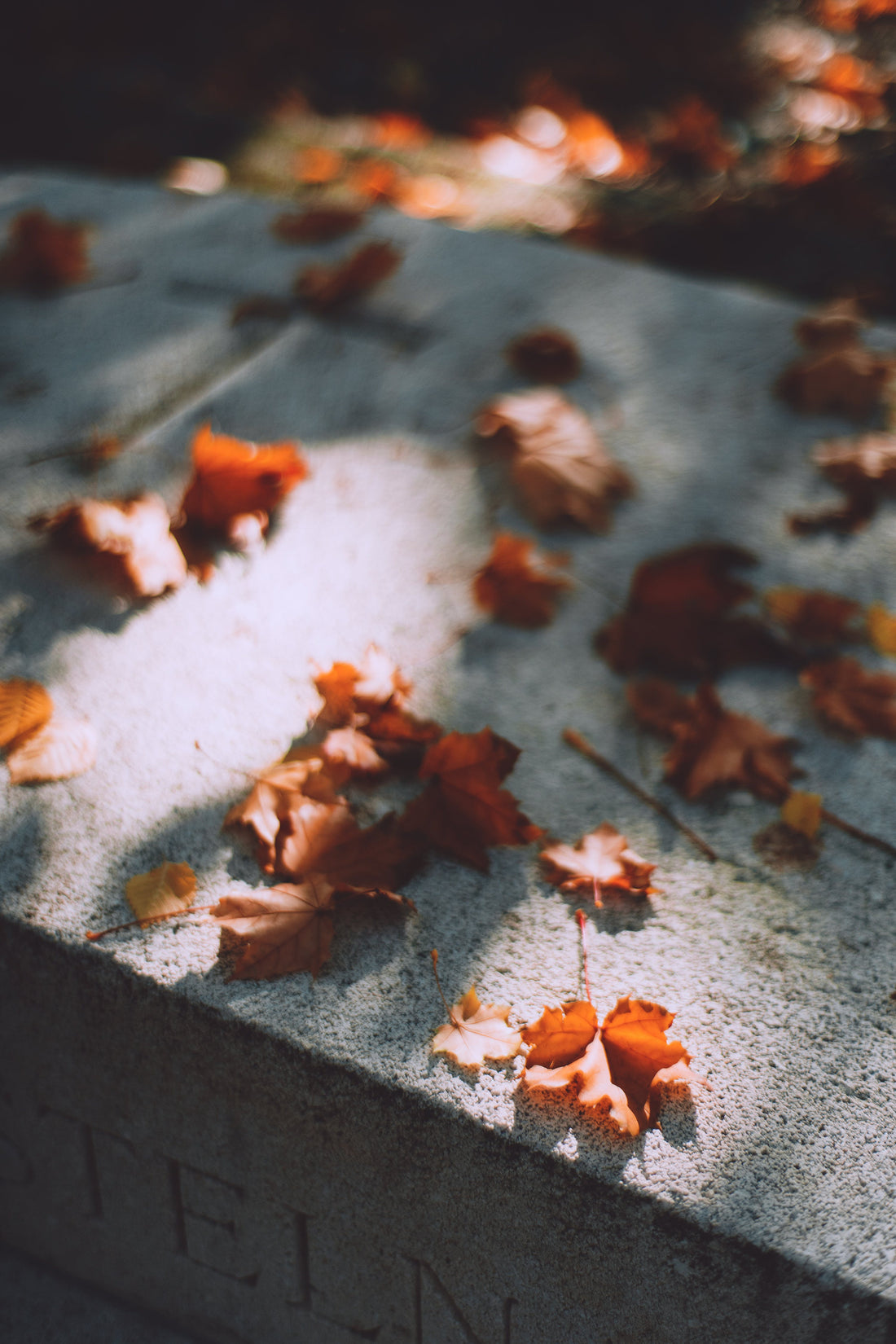 How Grief Affects the Body